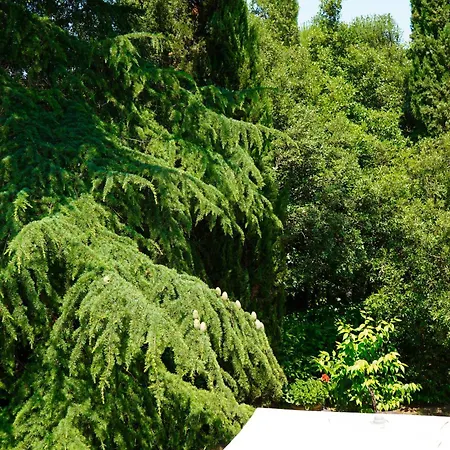 Le Gorghe Di Valmarino *