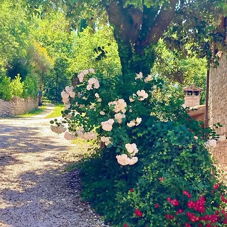 Le Gorghe Di Valmarino Holiday home Corciano