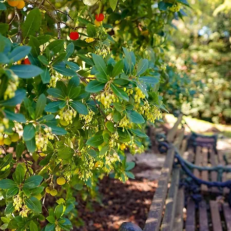 Le Gorghe Di Valmarino Сasa de vacaciones