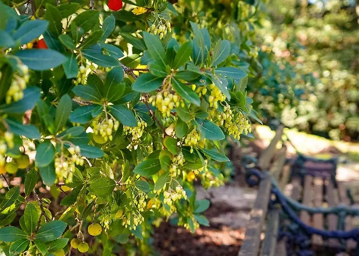 Le Gorghe Di Valmarino Casa de Férias